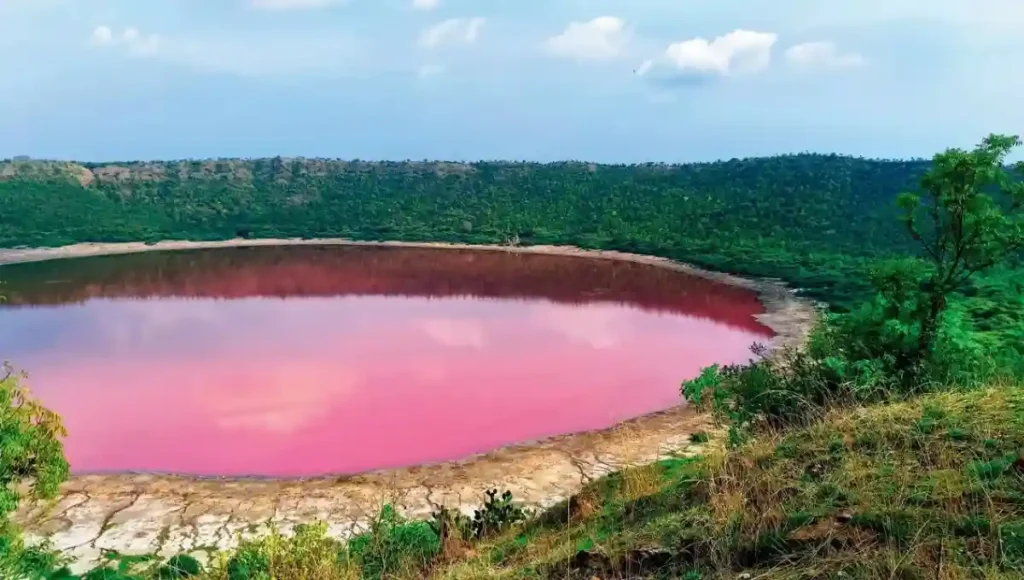 Pink Lonar lake