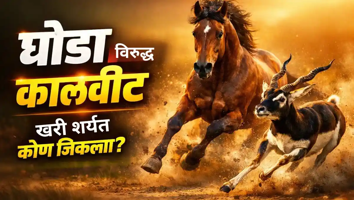 Kalvit ani Ghoda Marathi Goshta