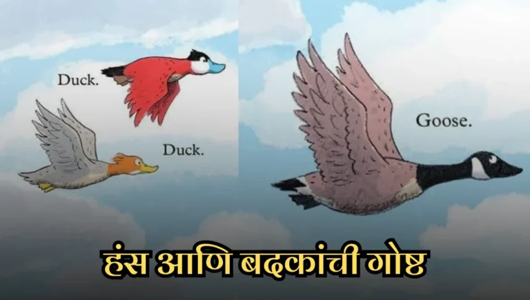 Goose and Ducks Story in Marathi: हंस आणि बदकांची गोष्ट